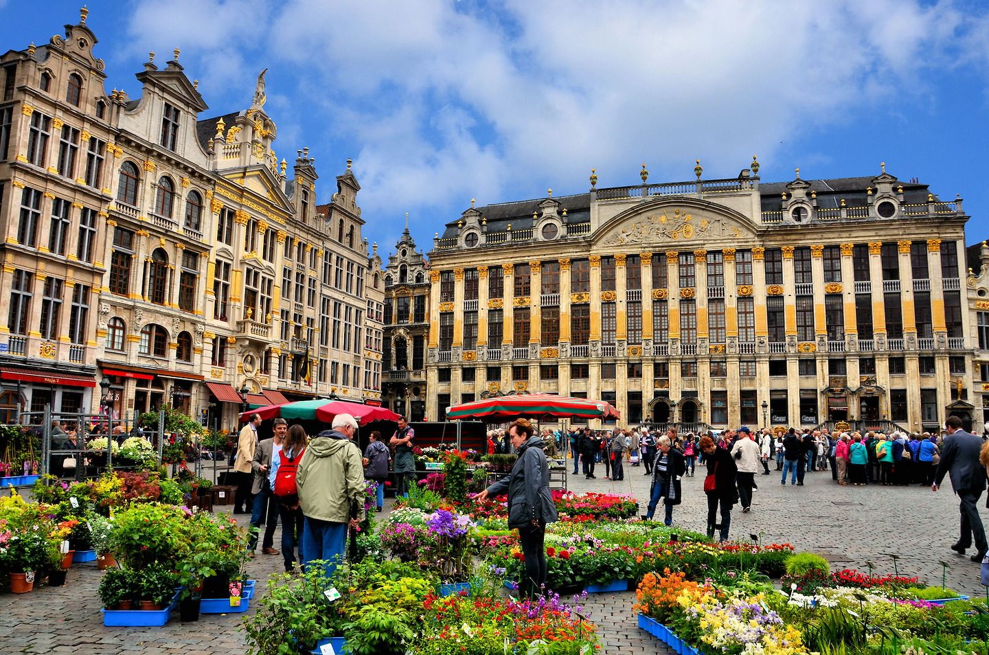 Best Brussels Food Tour