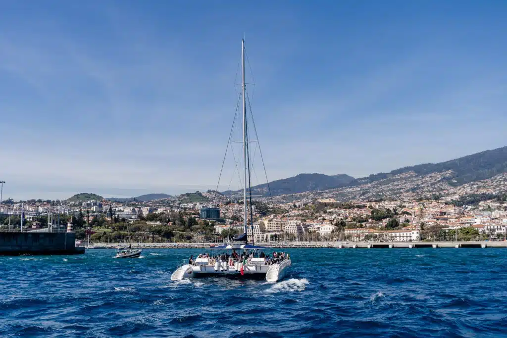 Catamaran Funchal Preços