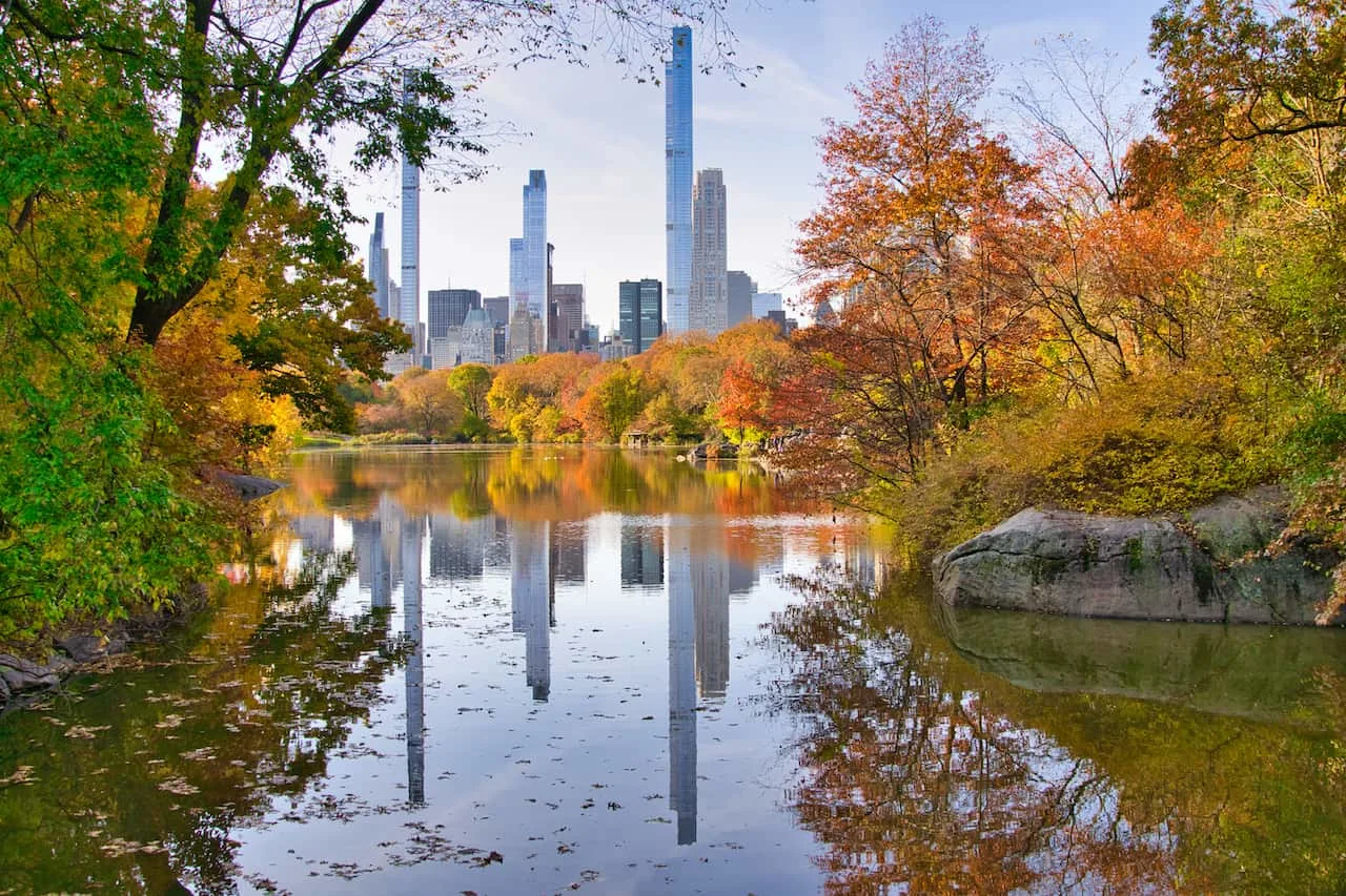 The Lake Skyline View