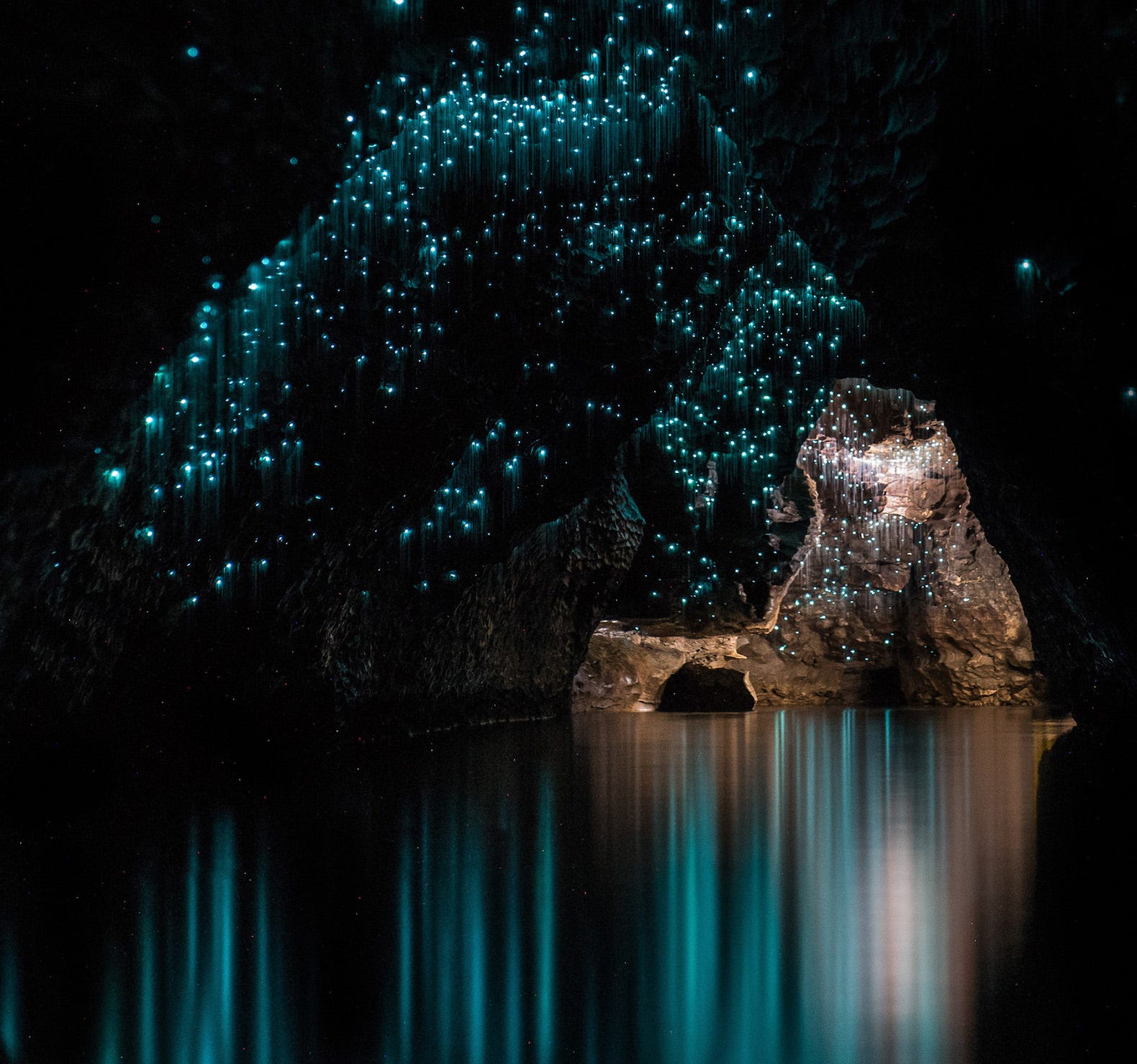 Is Waitomo Caves Worth It