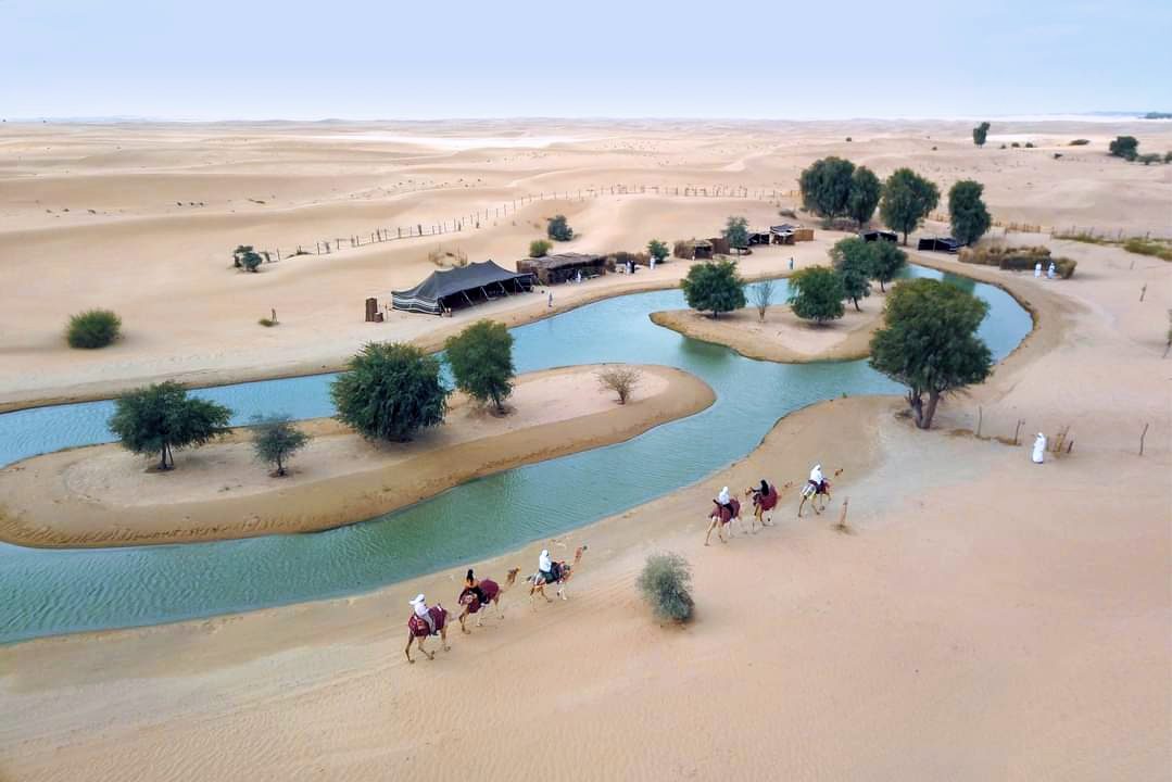 Al Marmoom Desert Conservation Reserve