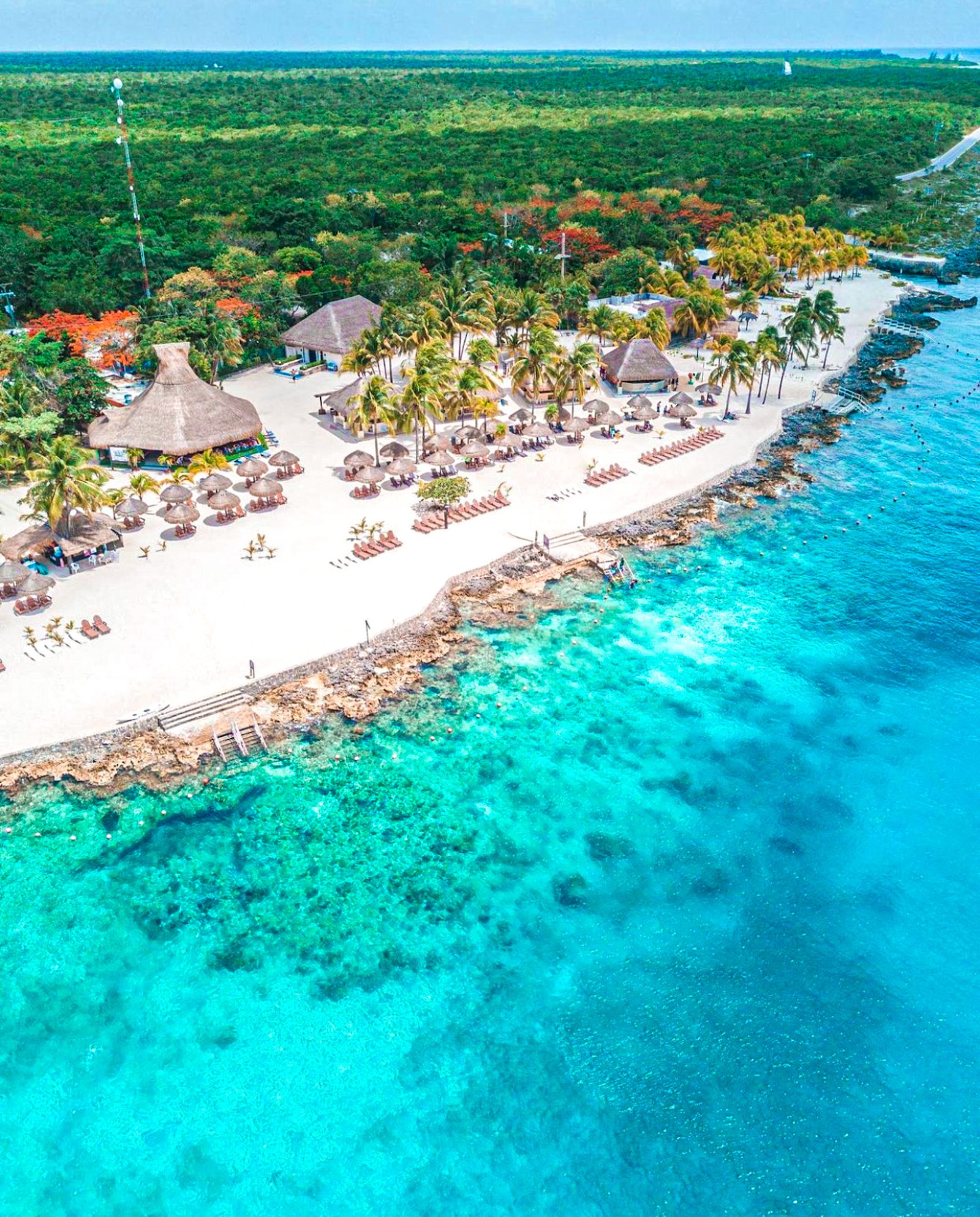 Snorkeling in Cozumel From Shore
