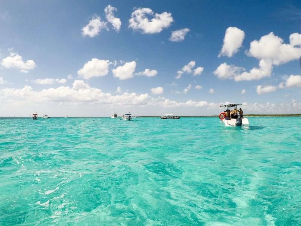 Clear Shallow Waters