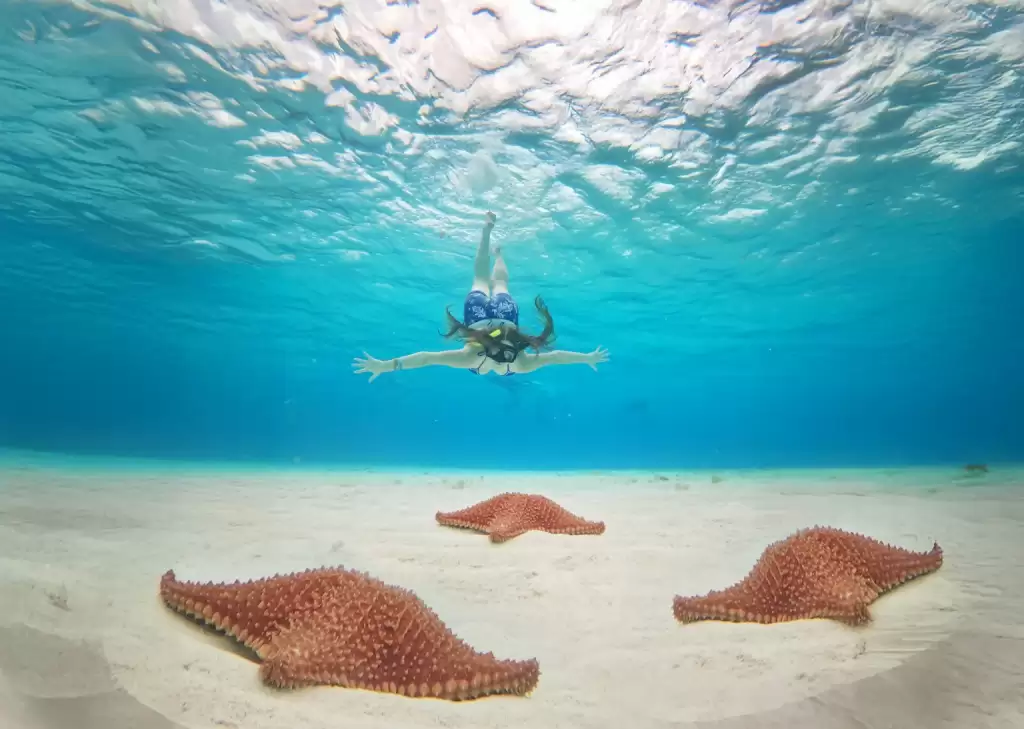 Snorkeling in Cozumel El Cielo