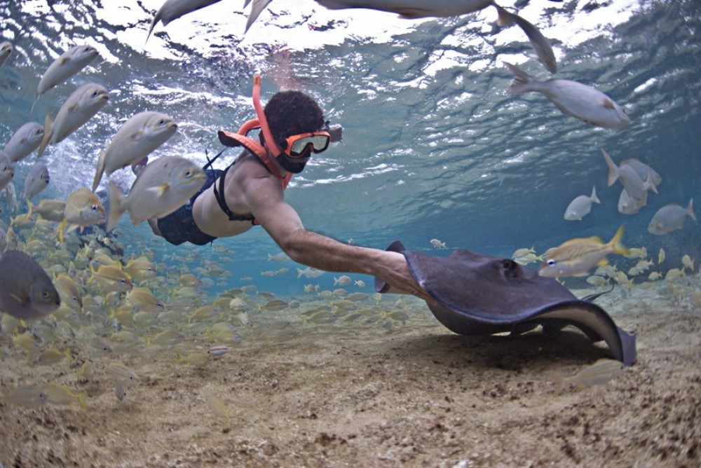 Stingray Encounters