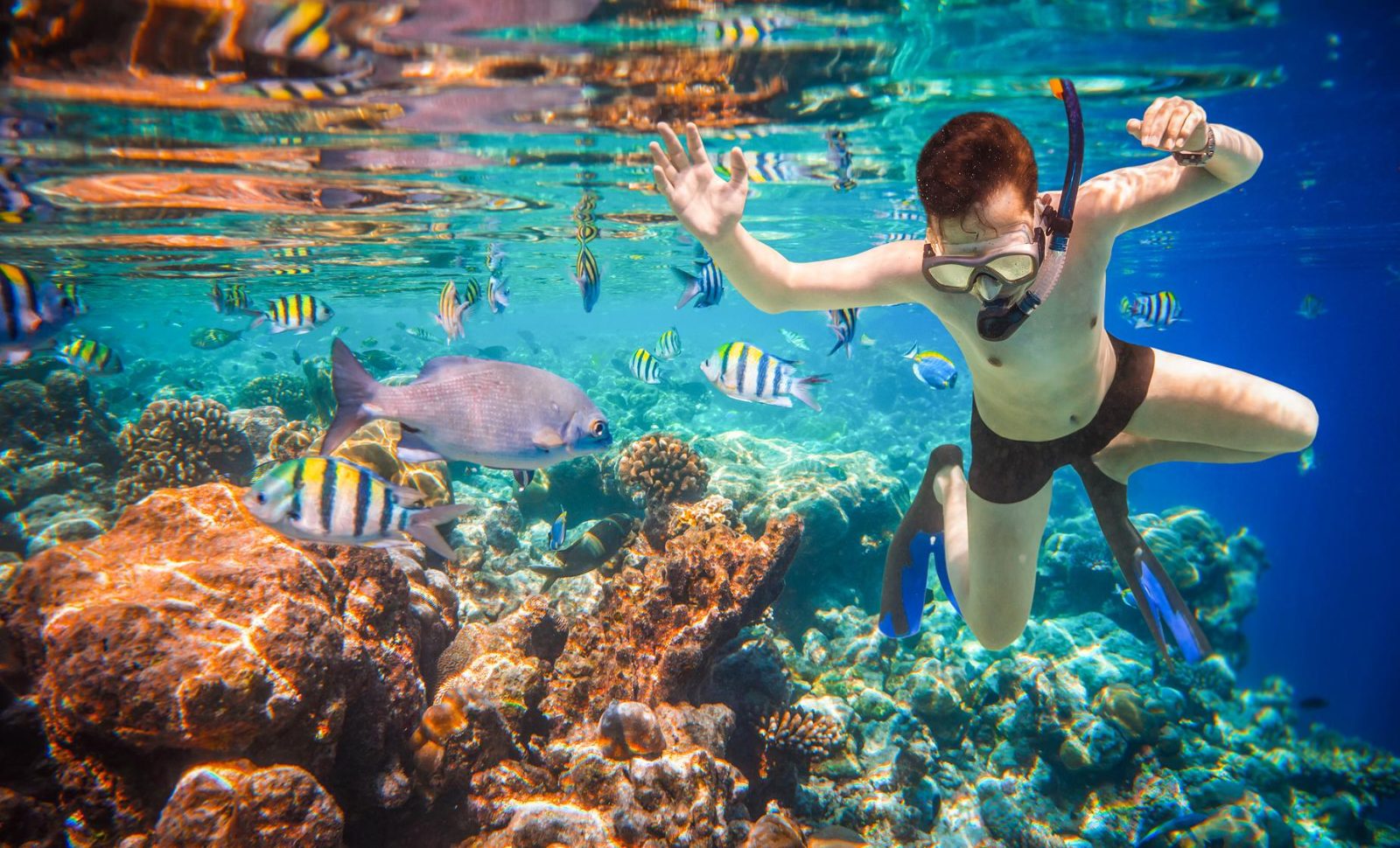 Snorkeling in Cozumel National Marine Park