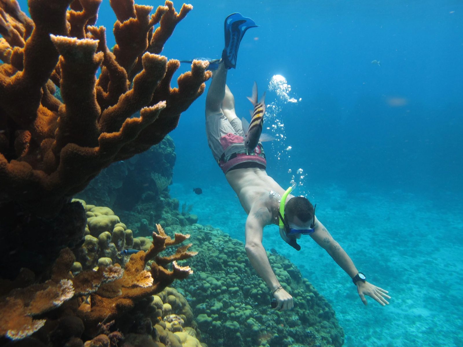 Snorkeling Cozumel Price