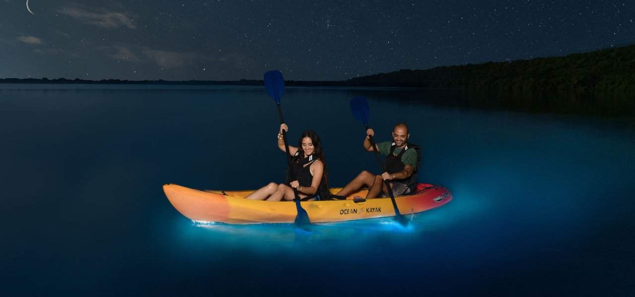 What Is a Bioluminescent Bay
