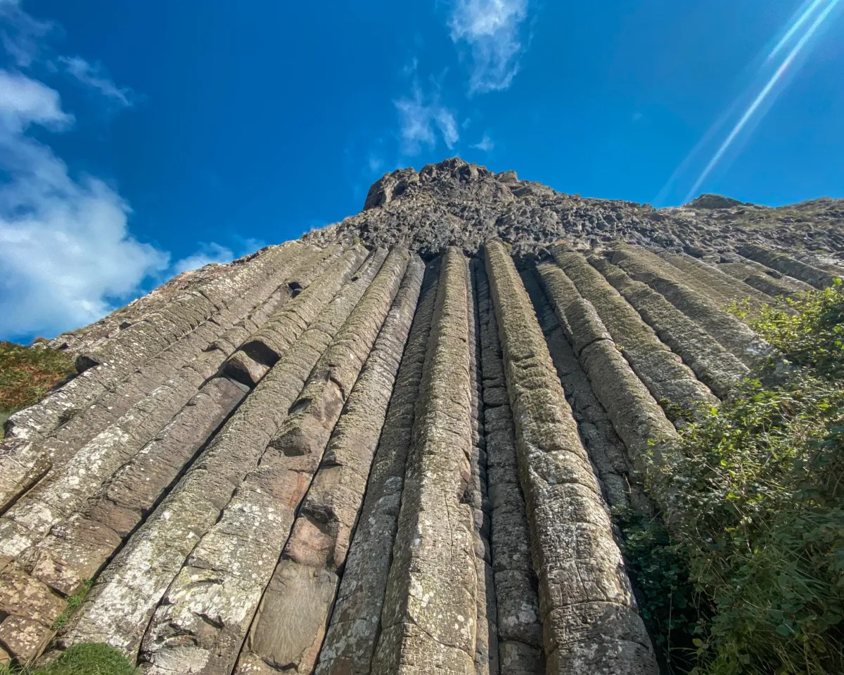 The Giant's Organ