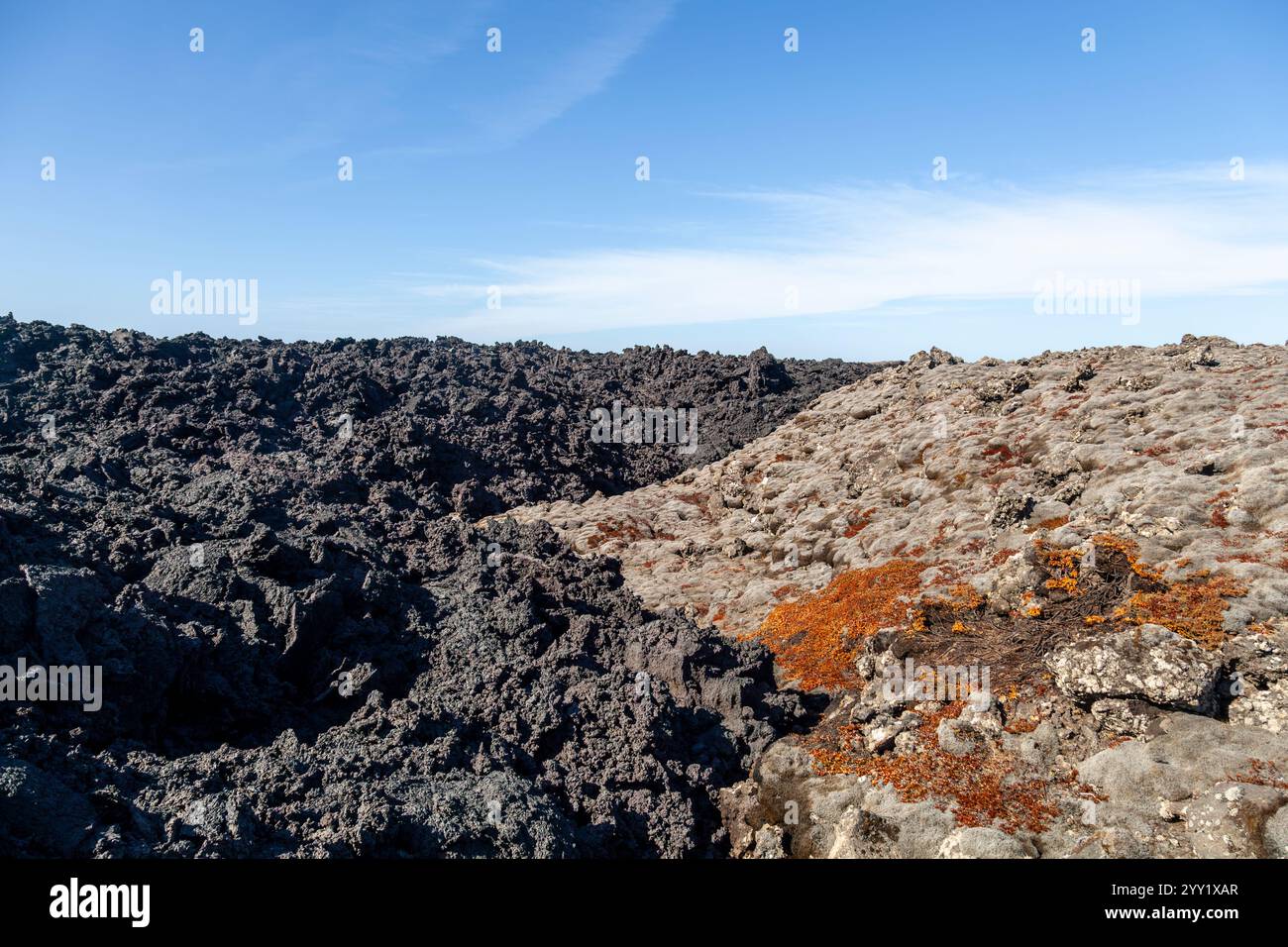 Peninsula Transit