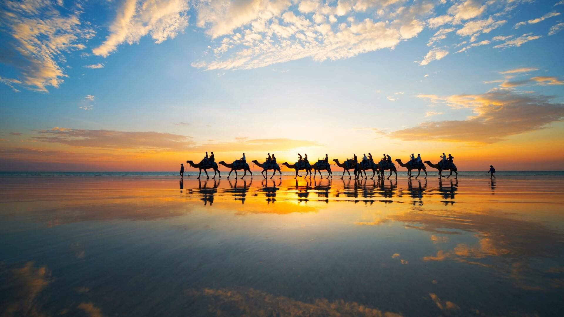 Cable Beach Broome Camel Rides Weight Limit