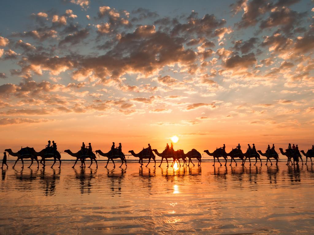 Cable Beach Camel Rides Reviews