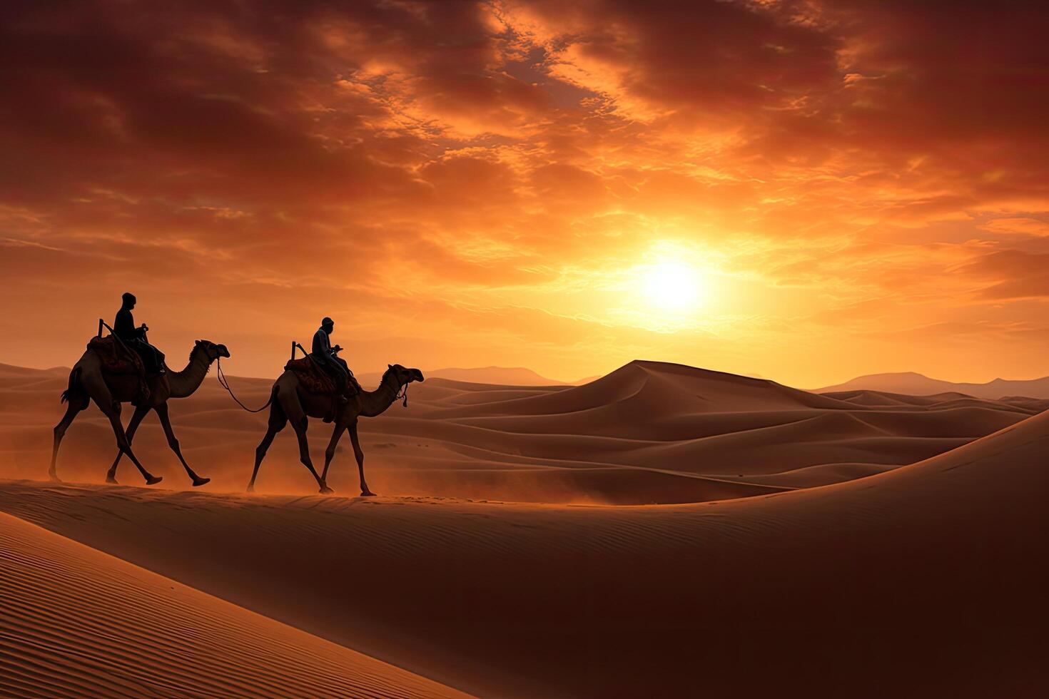 Sunset Camel Staging Area