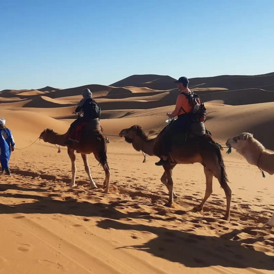 Dubai Desert Safari Quad Bike Camel Ride and Sandboarding