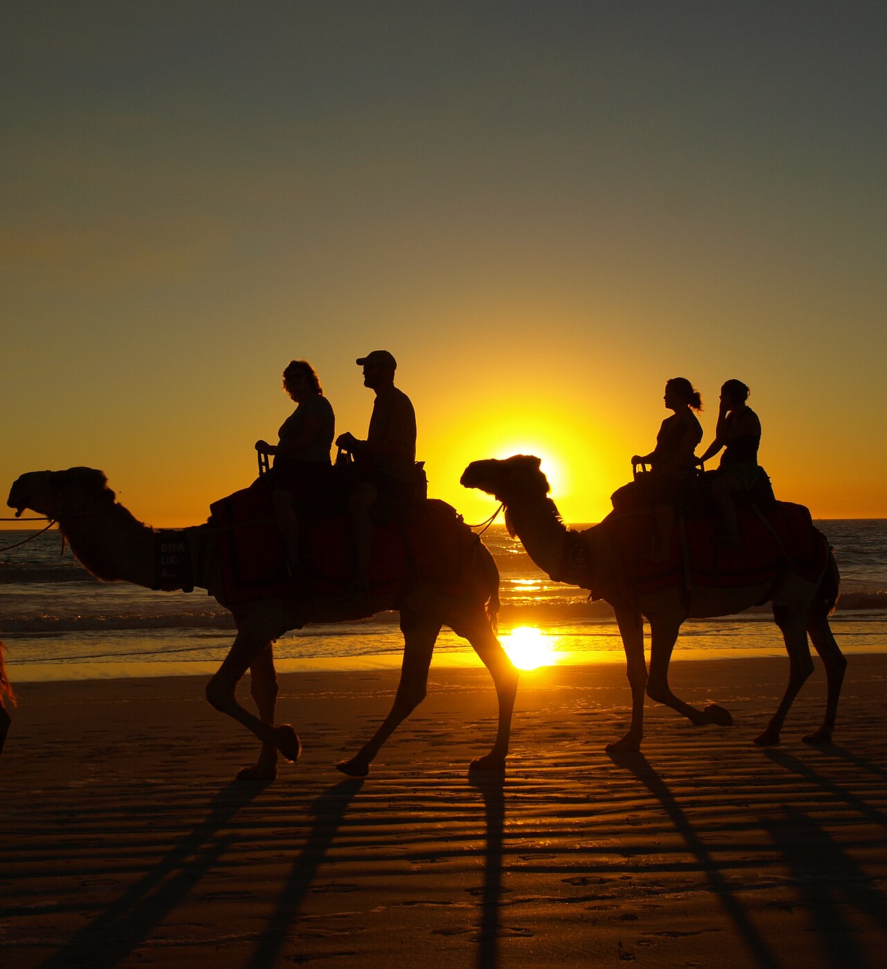 Are Camel Rides Safe