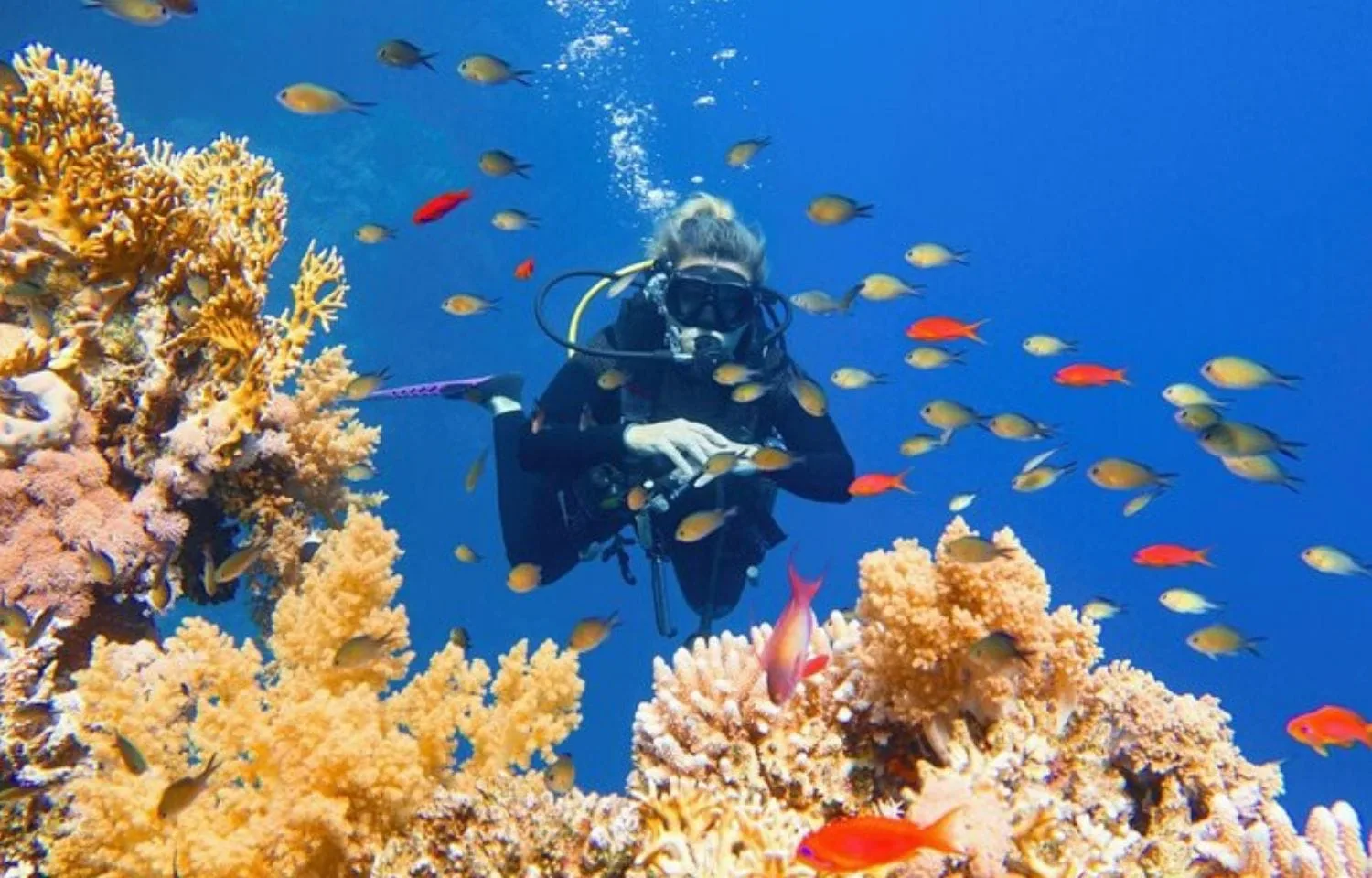 Hurghada Diving Water Temperature