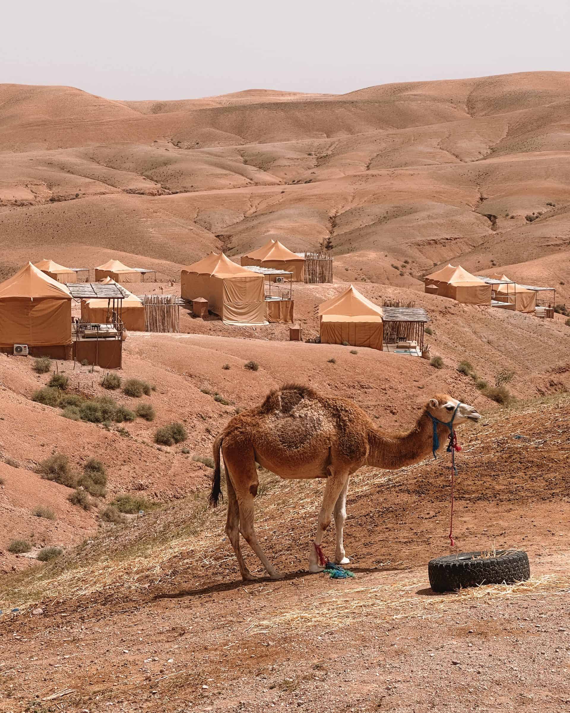 Agafay Desert Camp District