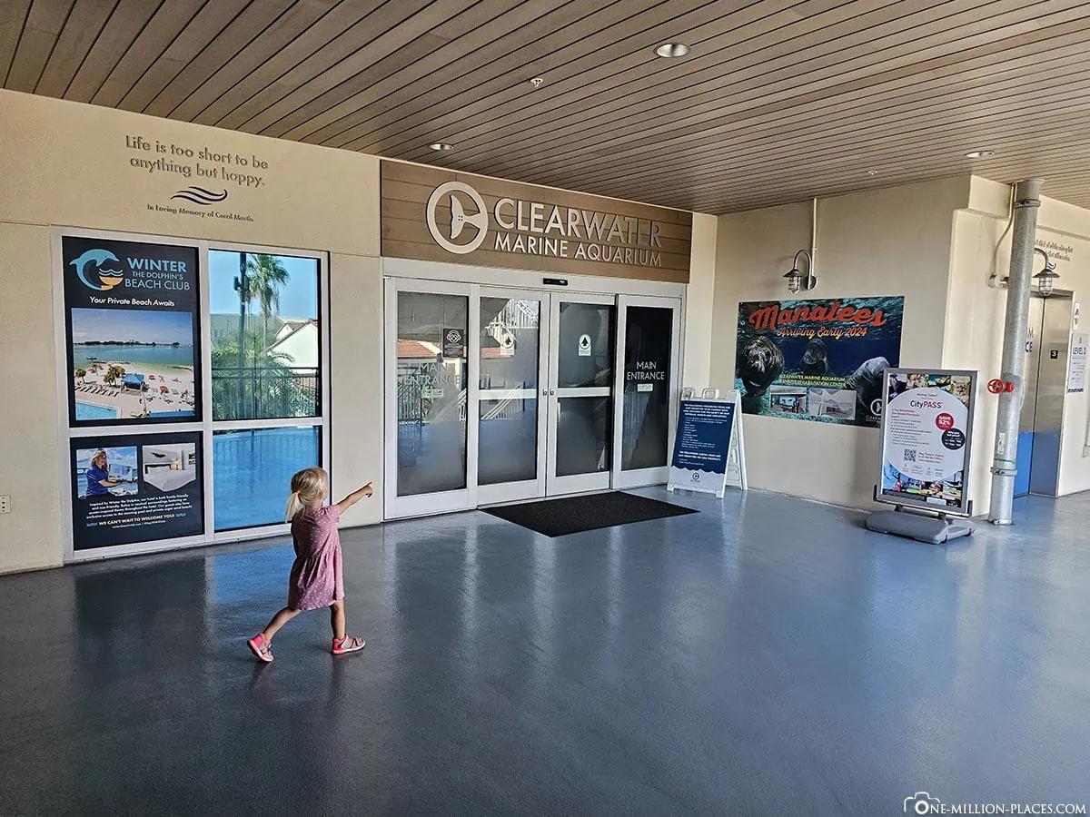 Clearwater Marine Aquarium