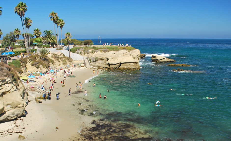 The Cove