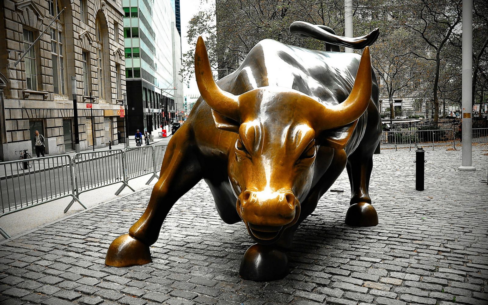The Wall Street Bull