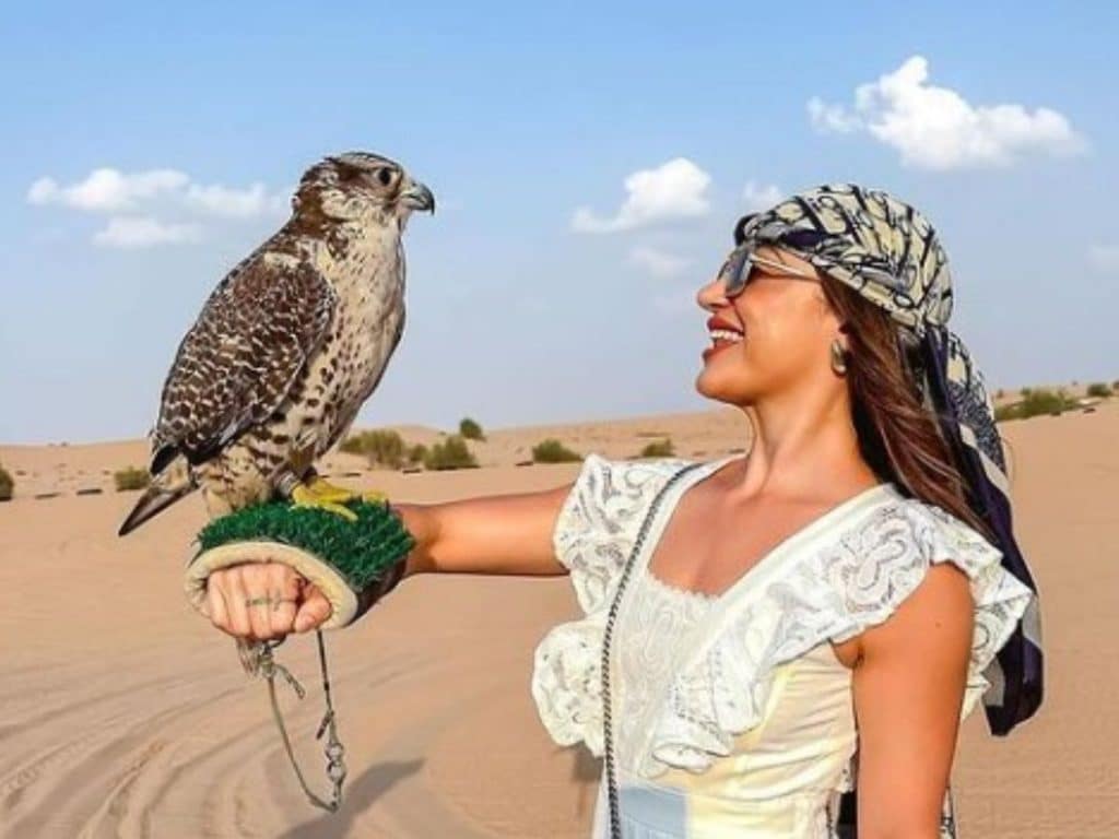 Falconry Photo Station