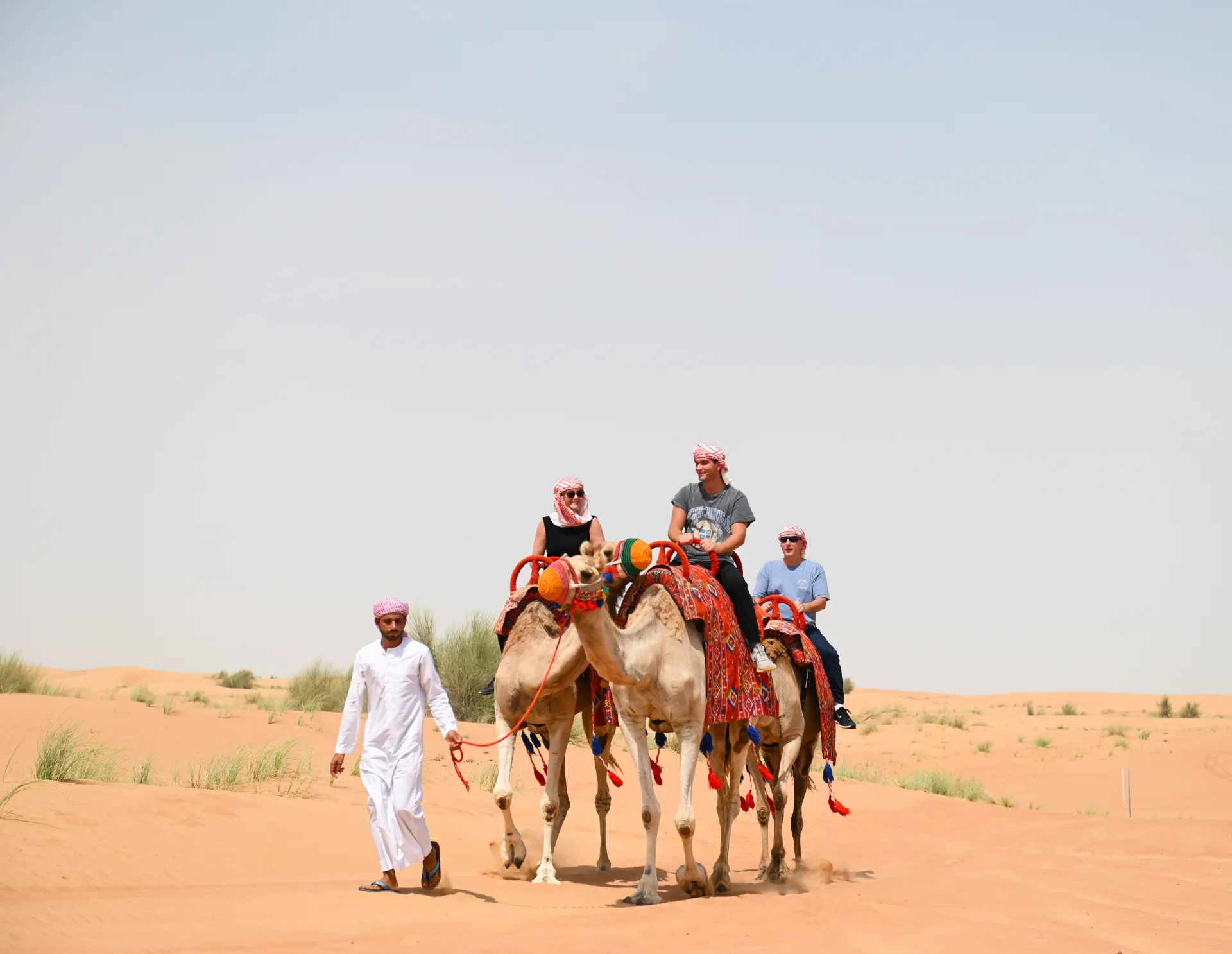 Camel Ride & Falcon Photo