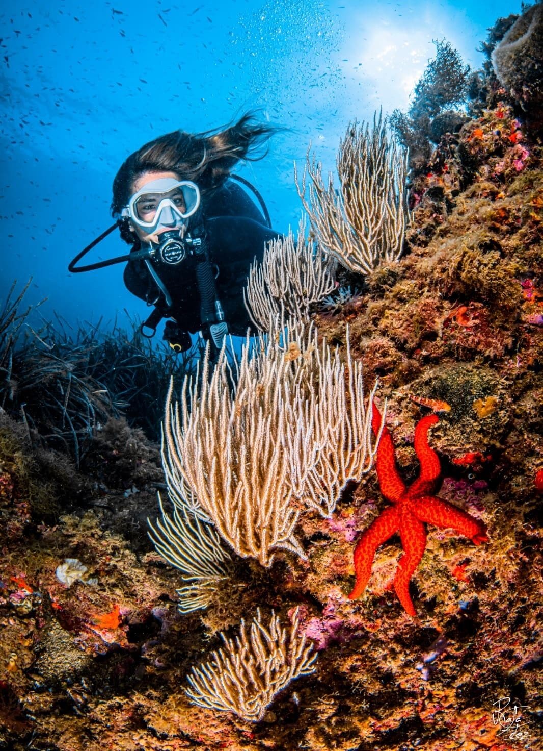 Medes Islands