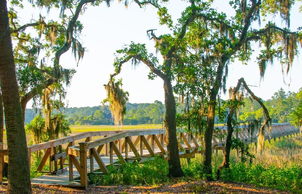 Sea Pines Forest Preserve