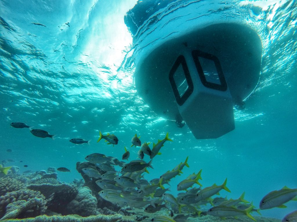 Glass-Bottom Viewing Deck