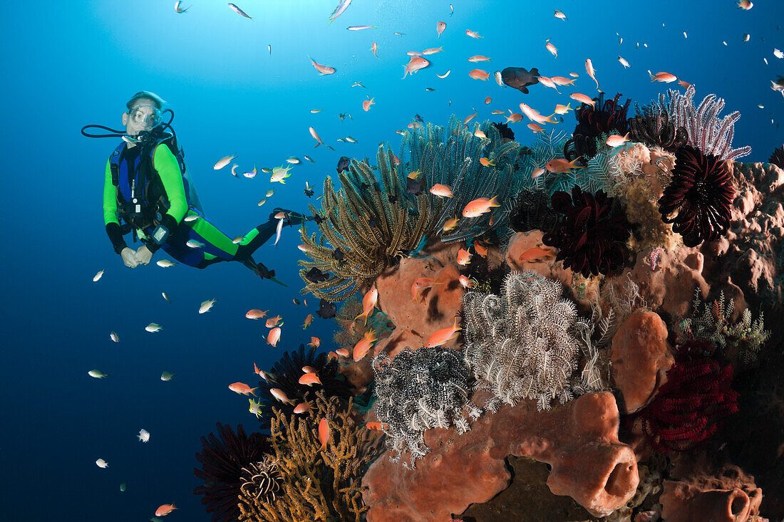 Bali Diving