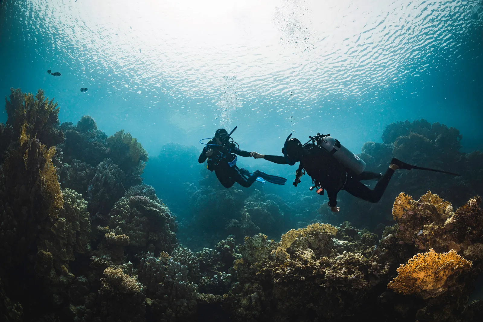 Red Sea Scuba Diving