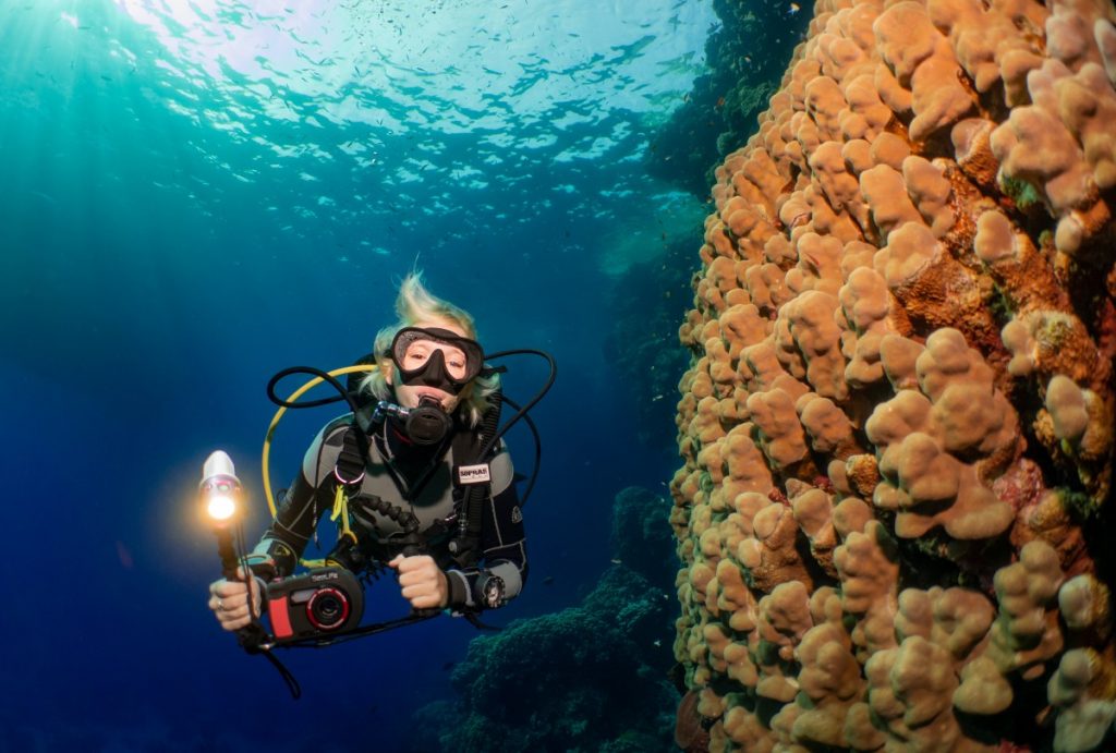 Elphinstone Reef Plateau