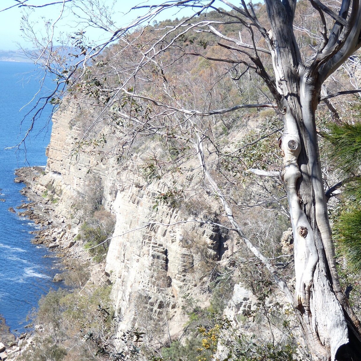 Alum Cliffs