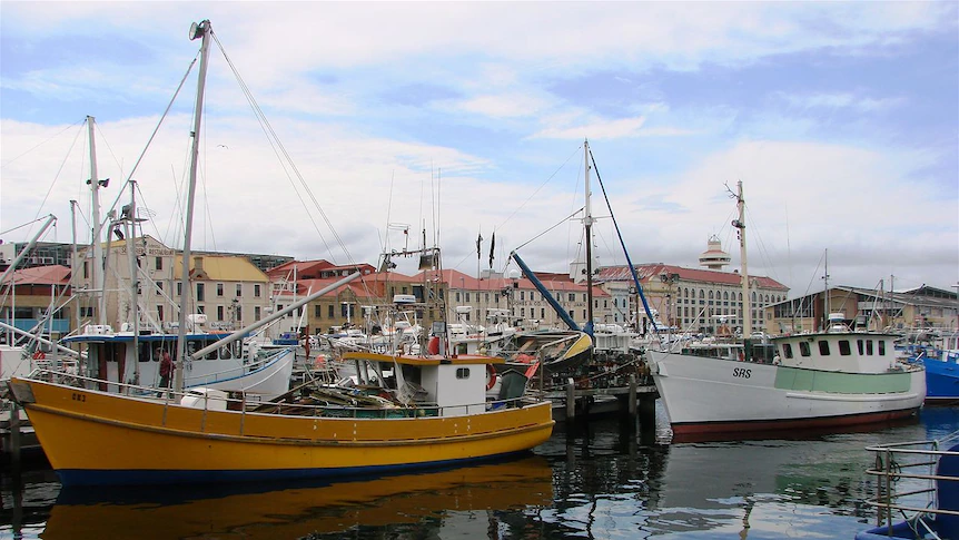 Constitution Dock