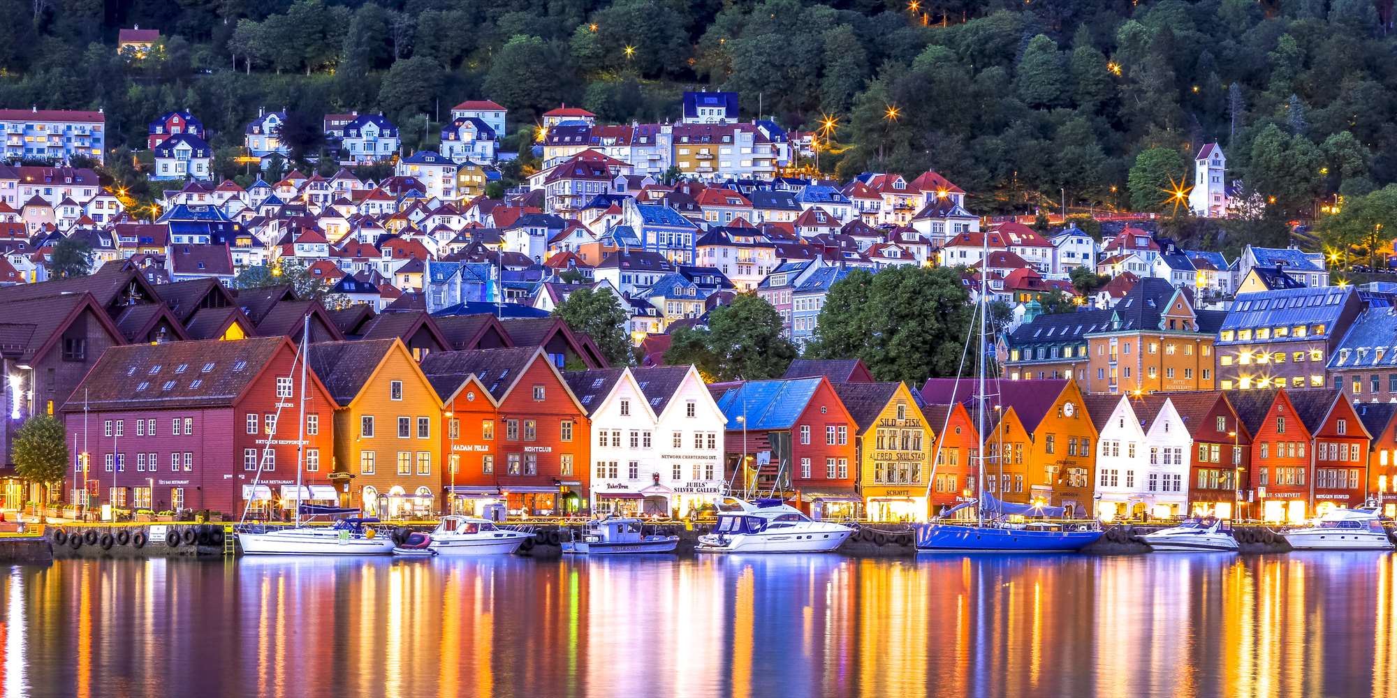 Bryggen view