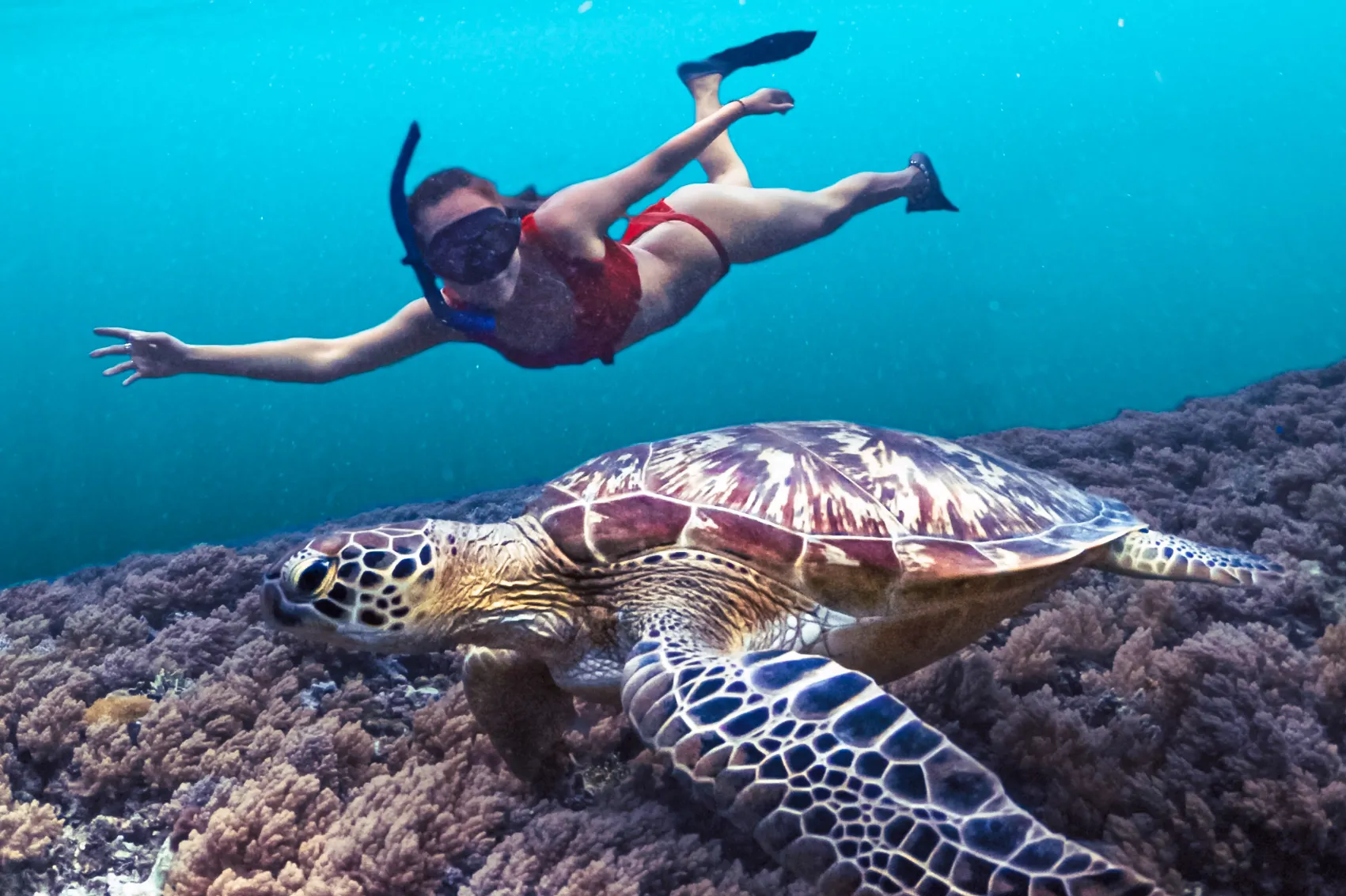 Snorkeling Bali
