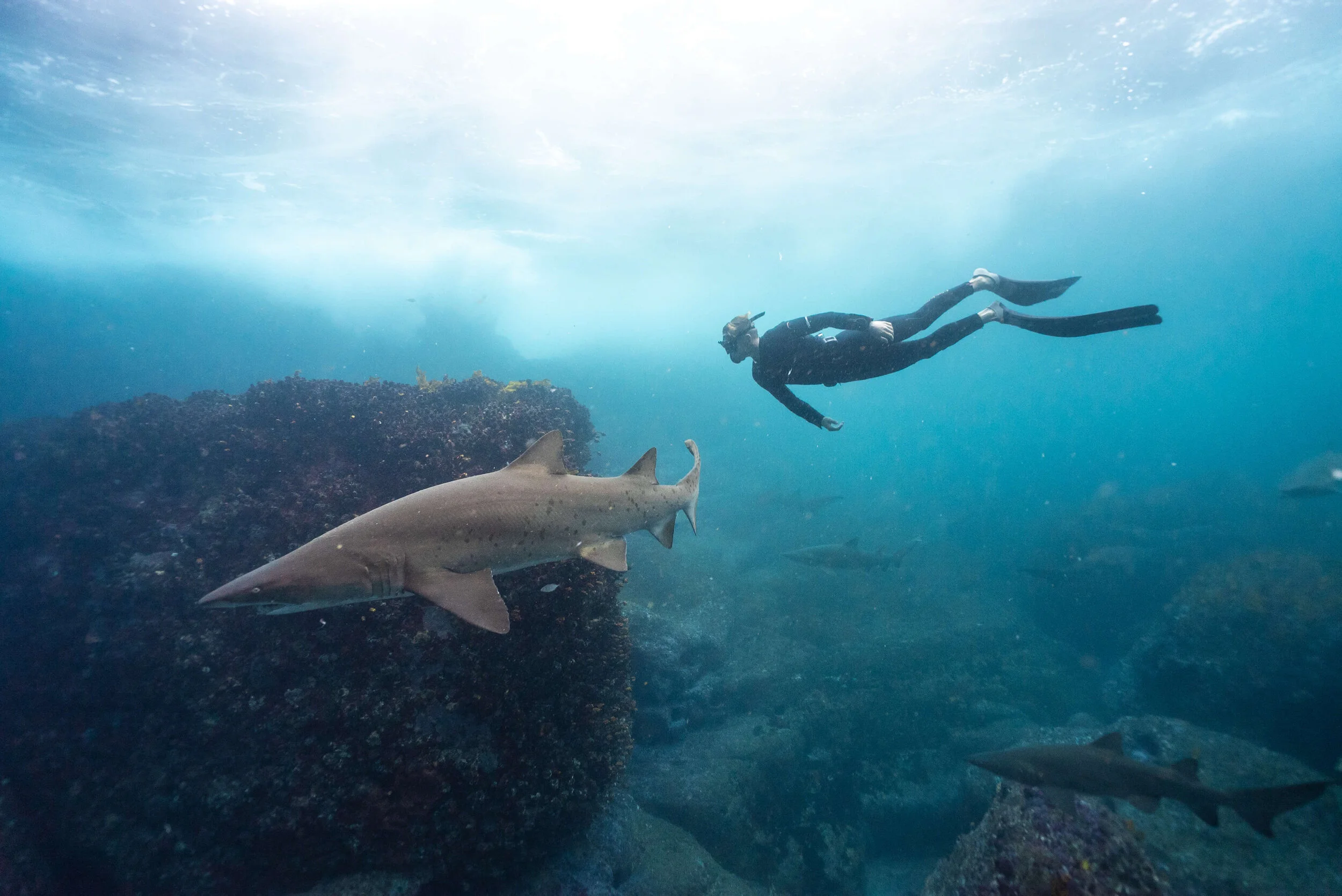Snorkeling Byron Bay