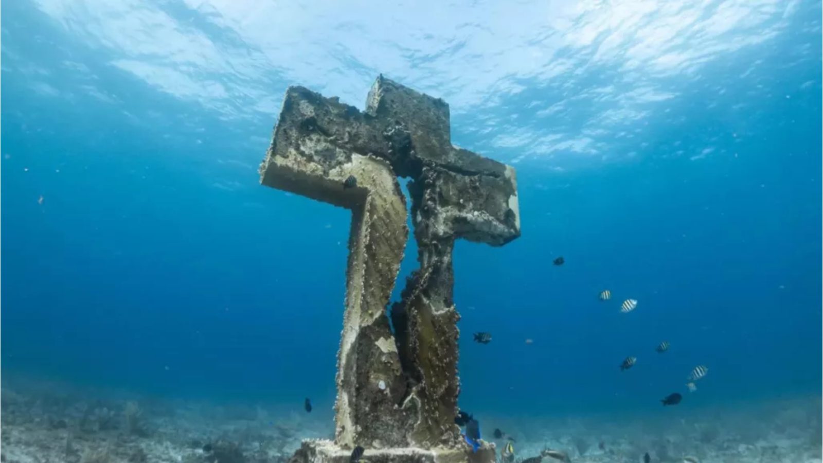 The Cross of the Bay