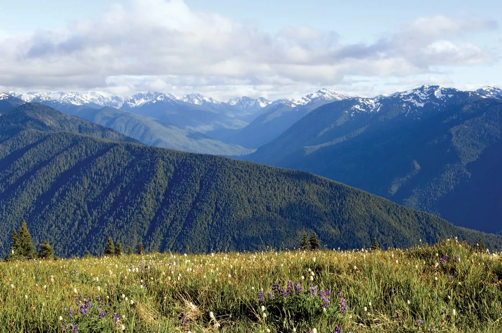 Olympic Mountain Range