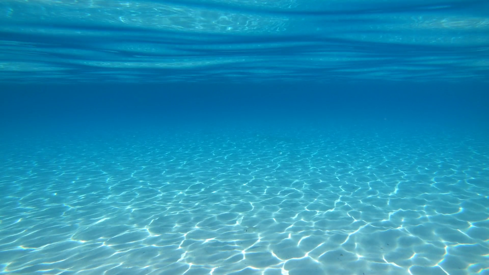Swimming break
