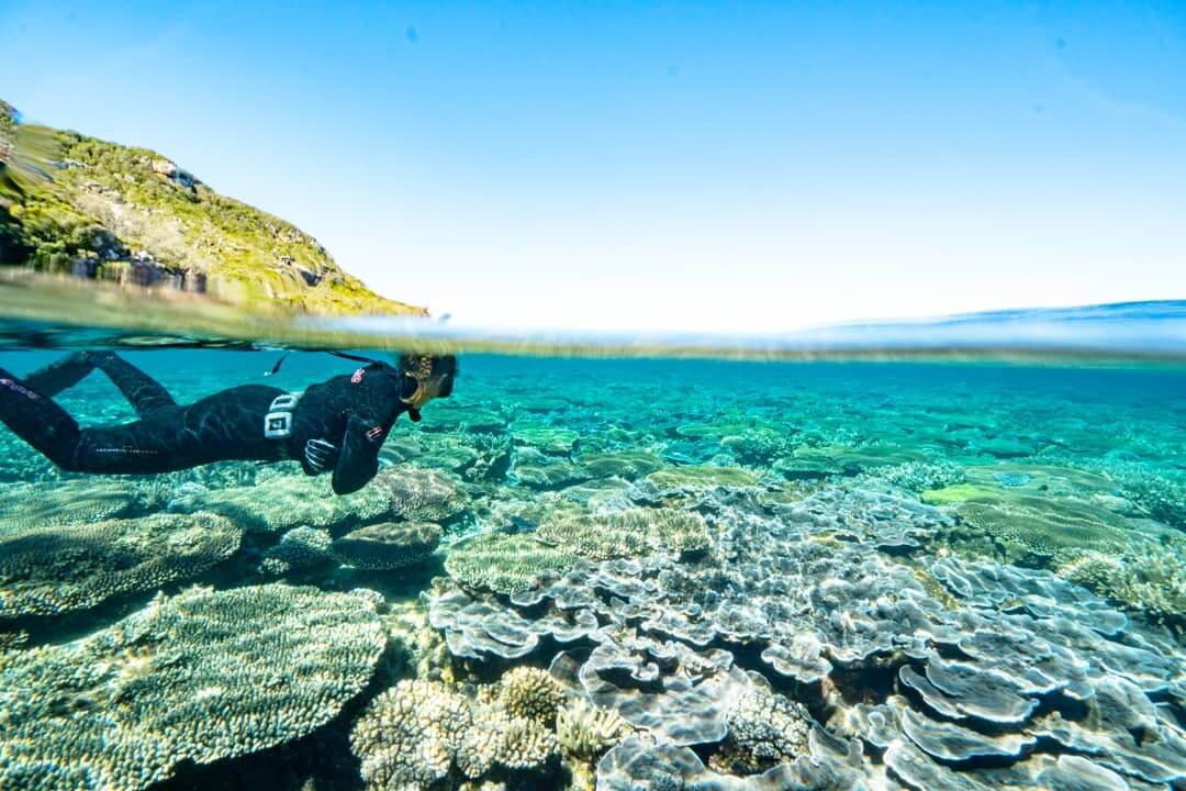 Monkey Bay