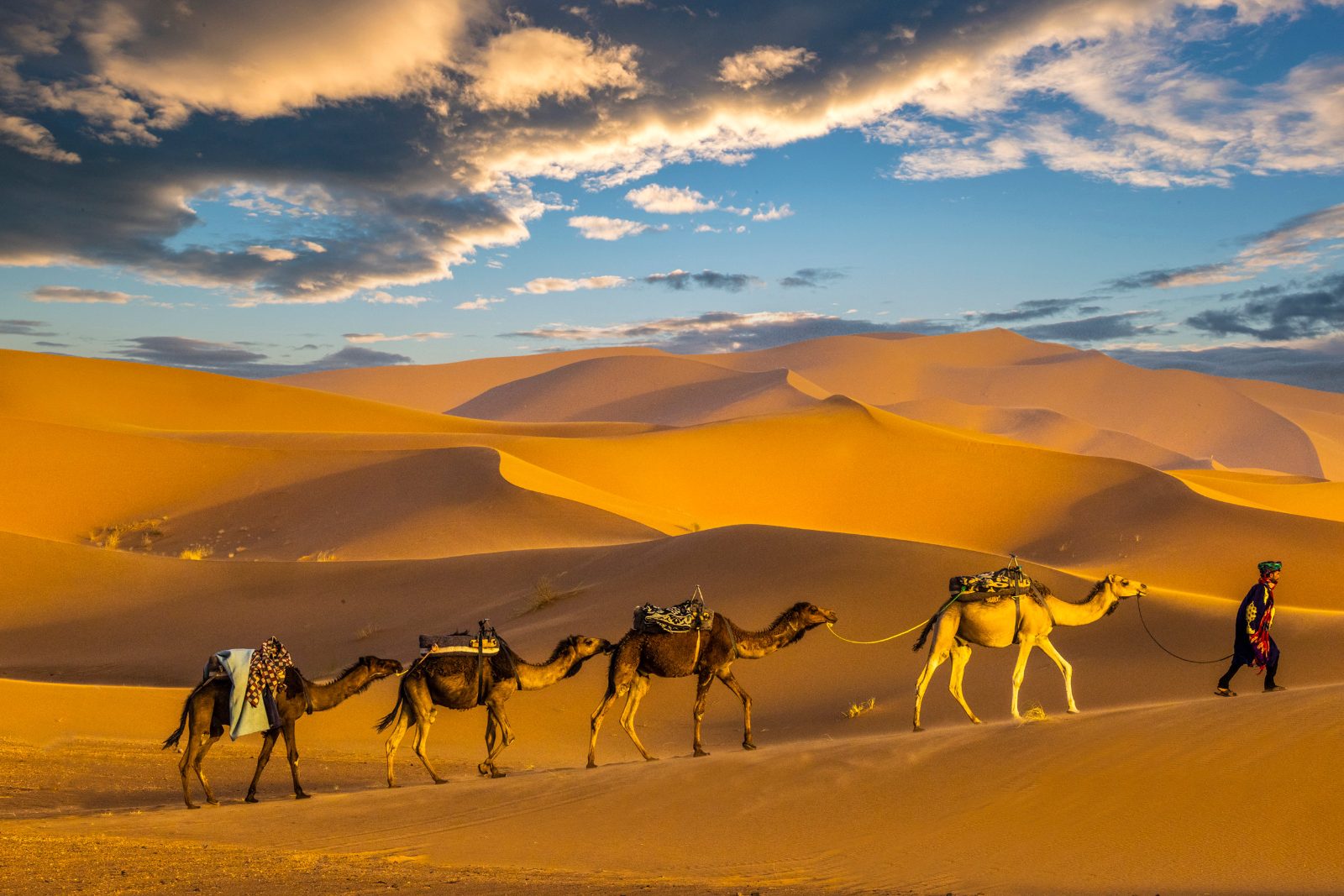 Agafay Desert Camel Ride Dinner & Fire Show From Marrakech