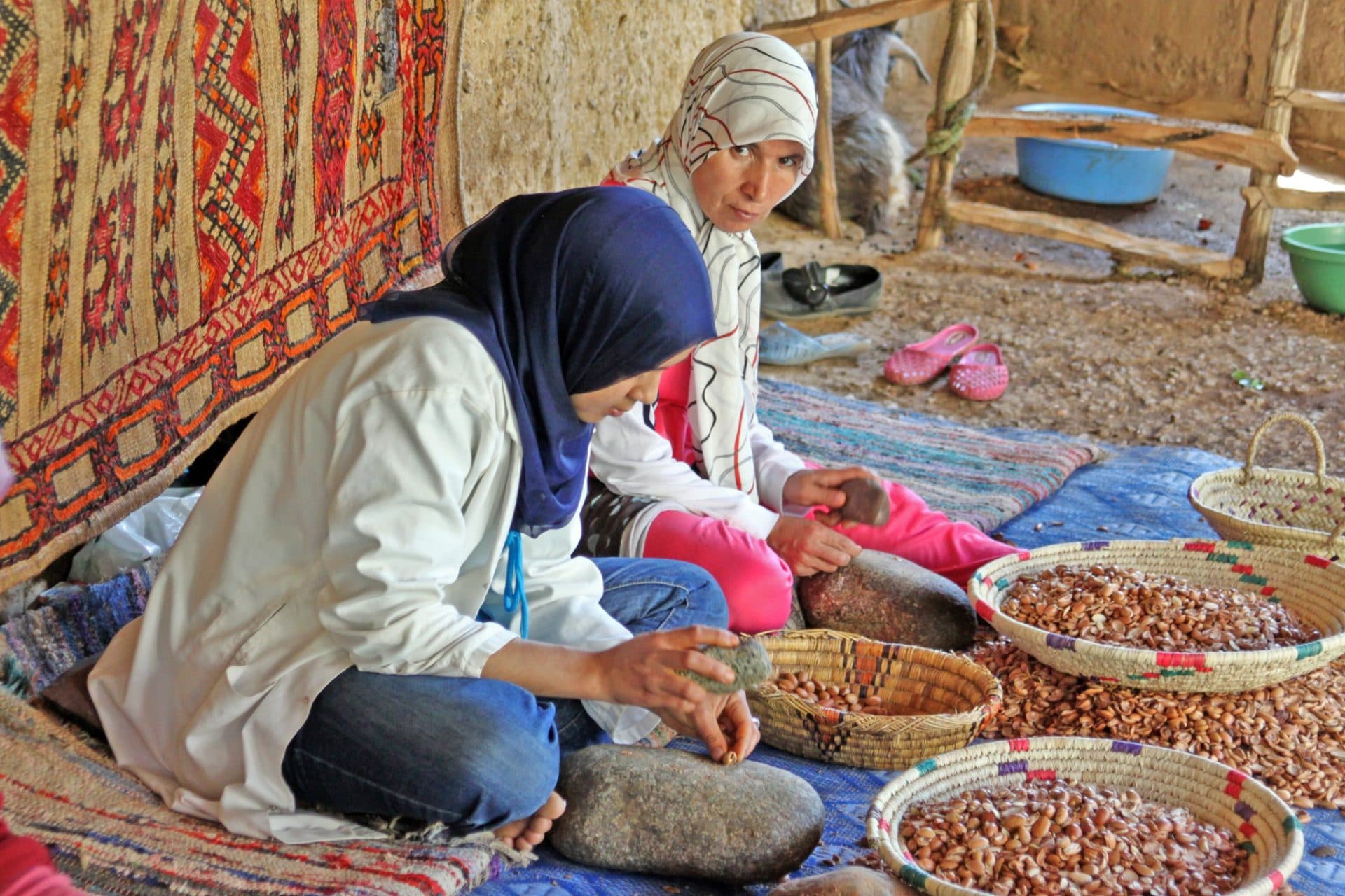 Argan Oil Women's Cooperative