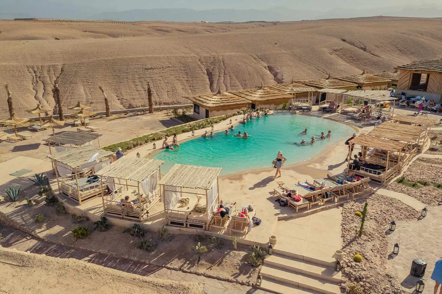 Desert Oasis Pool