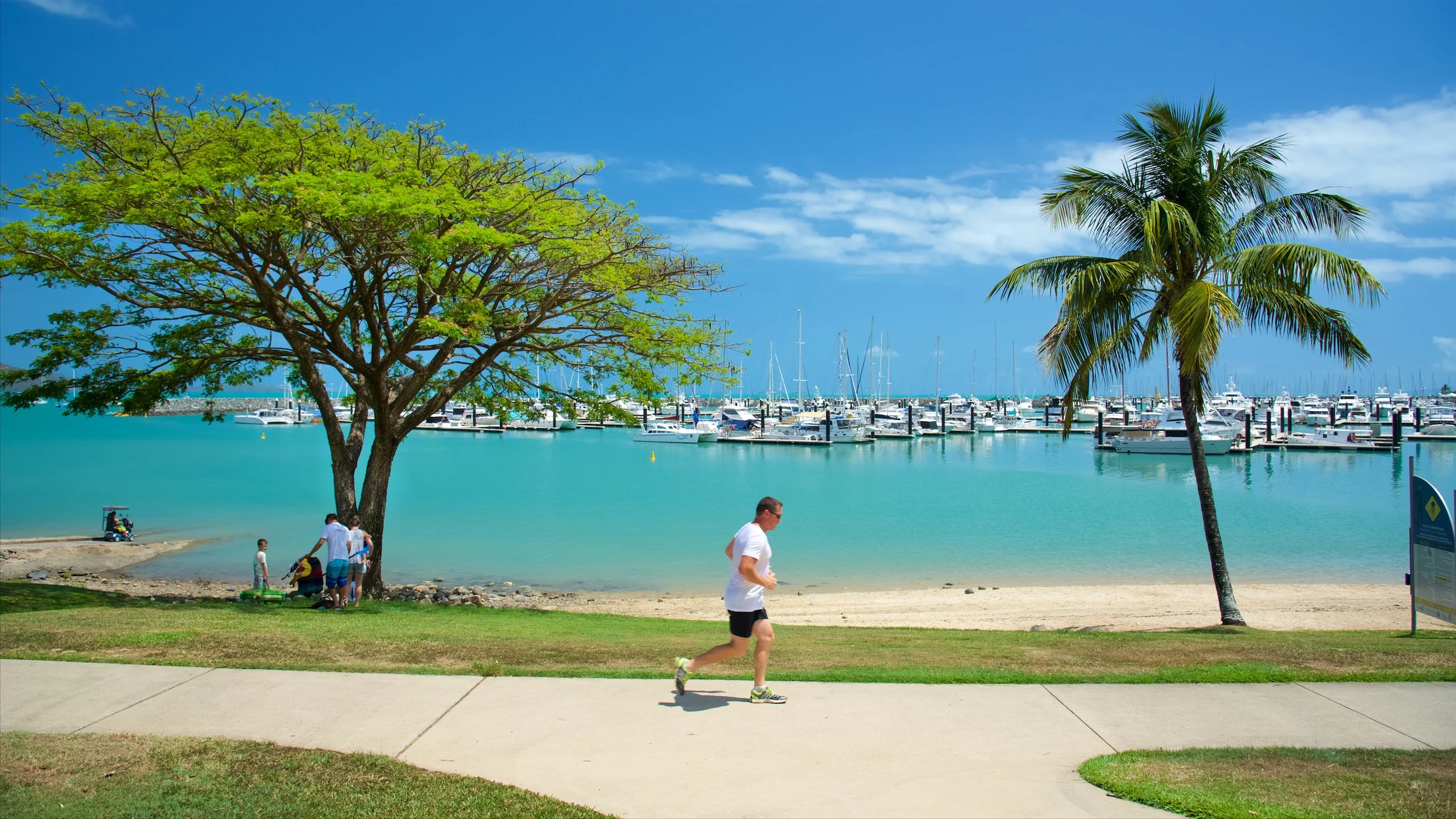 Shingley Beach