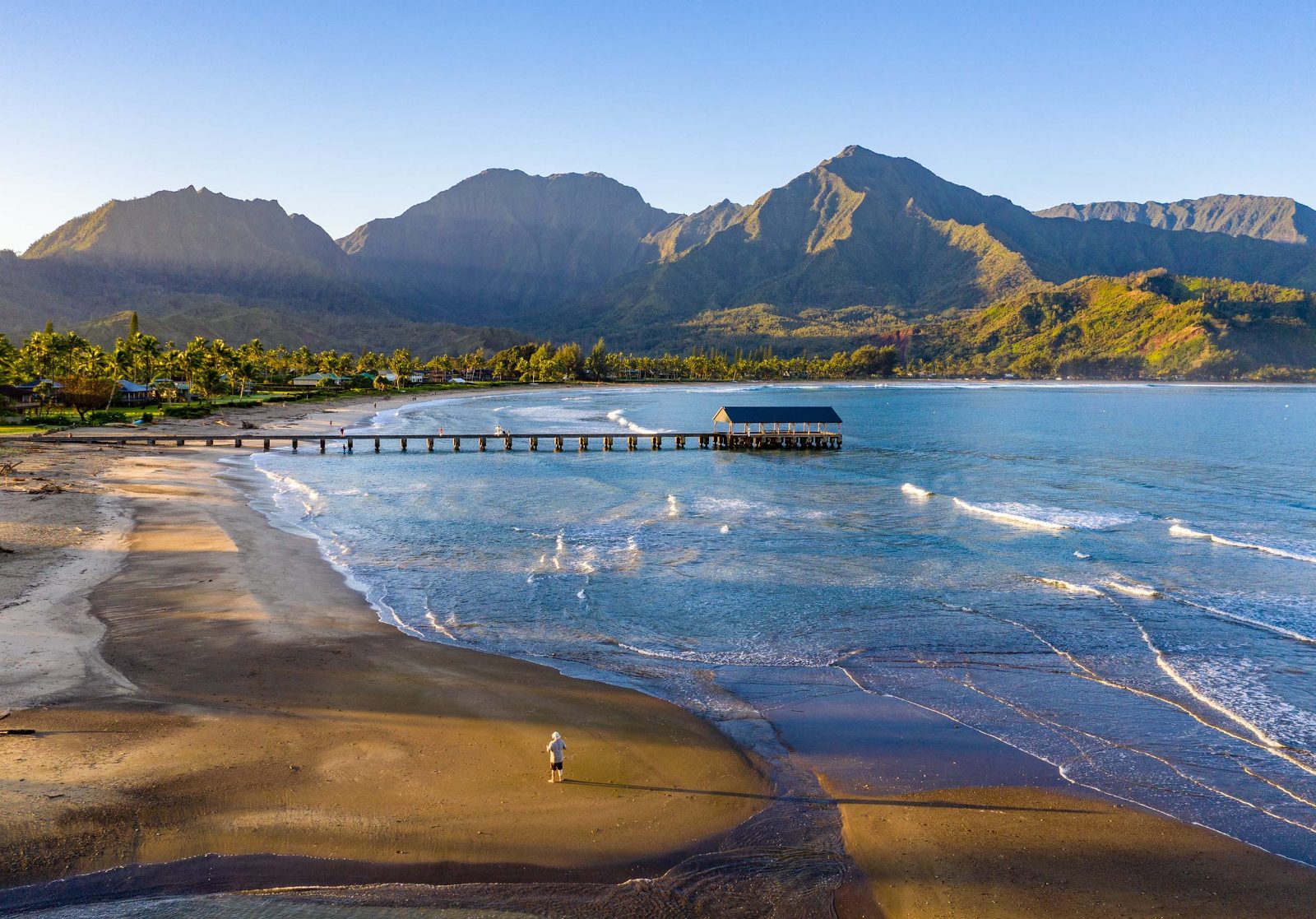 Hanalei Bay rentals