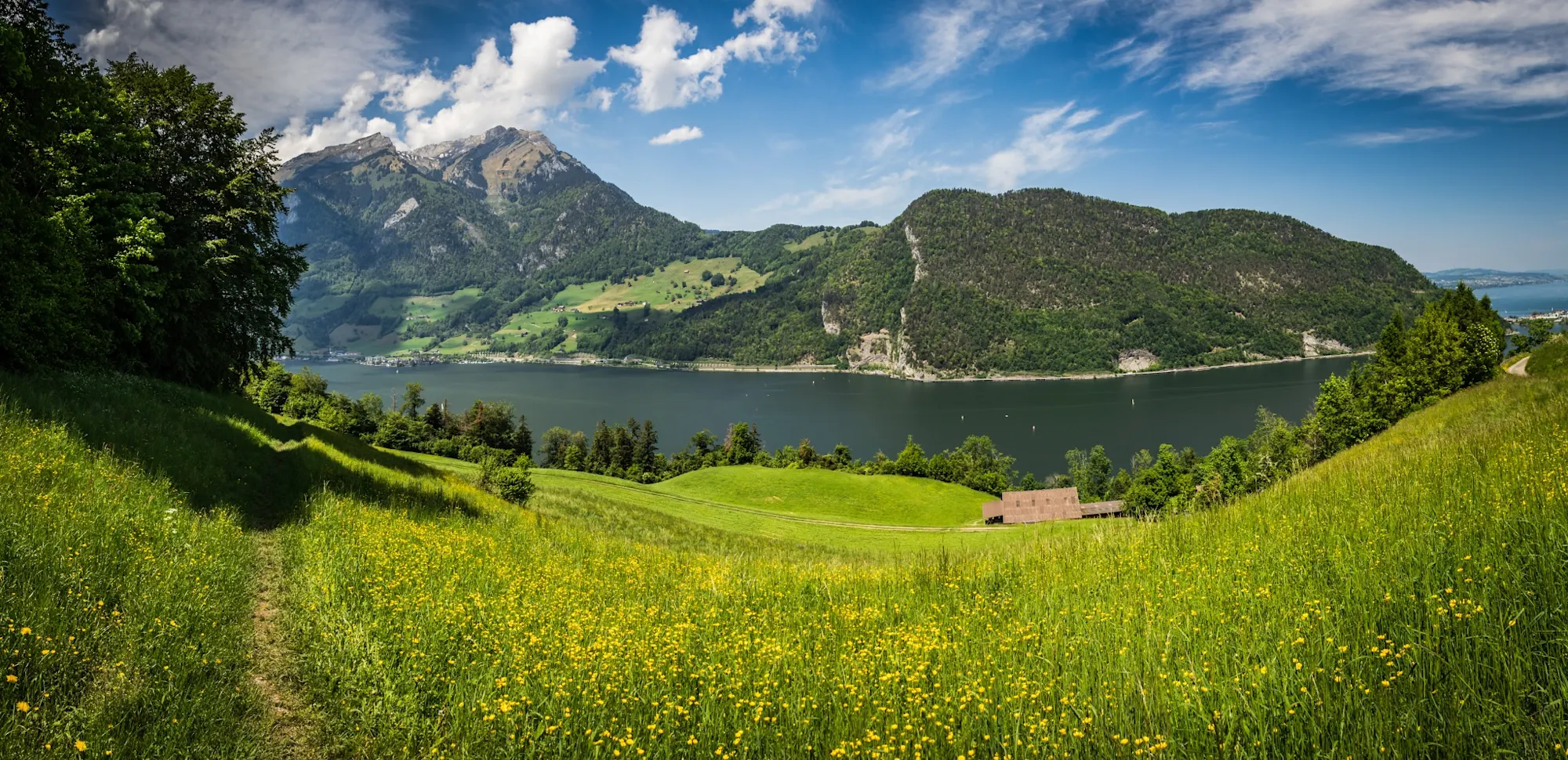 Alpnachersee Section