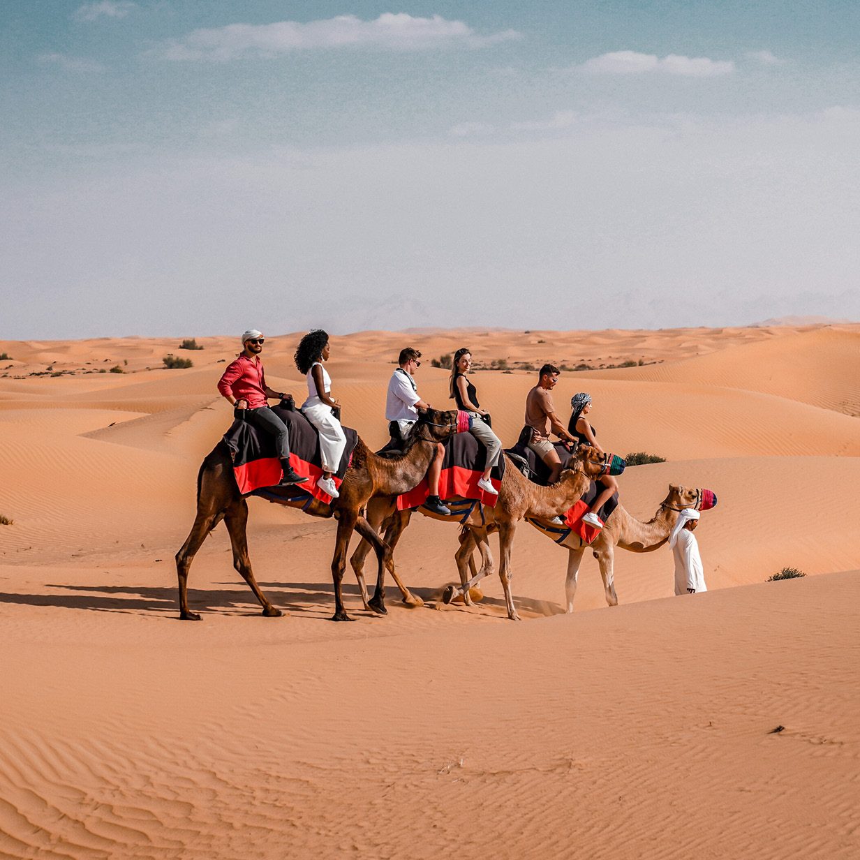 Camel Trekking Tracks