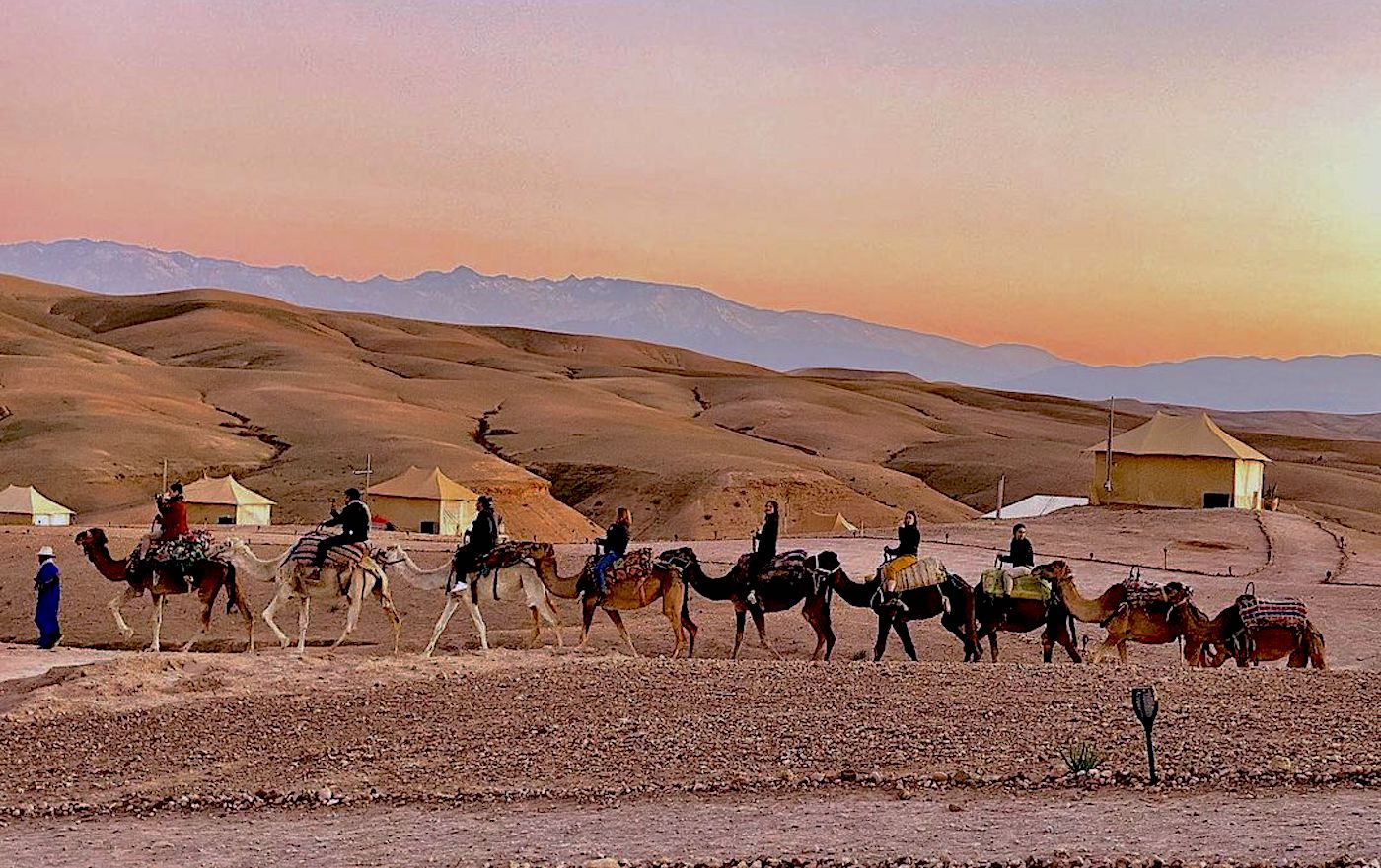 Nomadic Camel Outpost