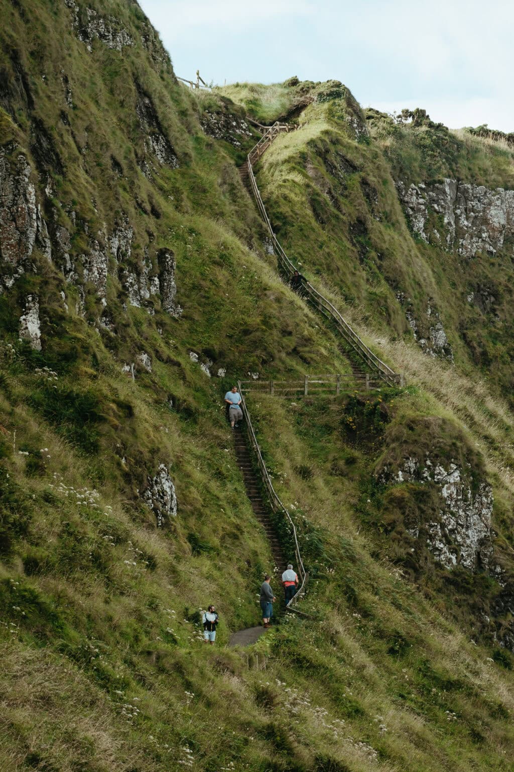 Shepherd's Steps Viewpoint